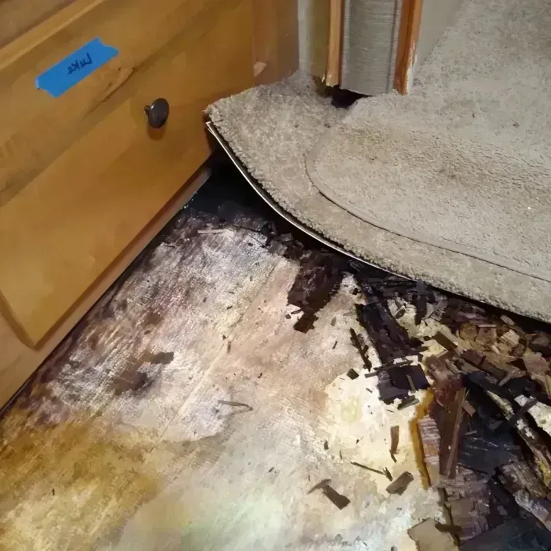 Wood Floor Water Damage in Arapahoe, NE